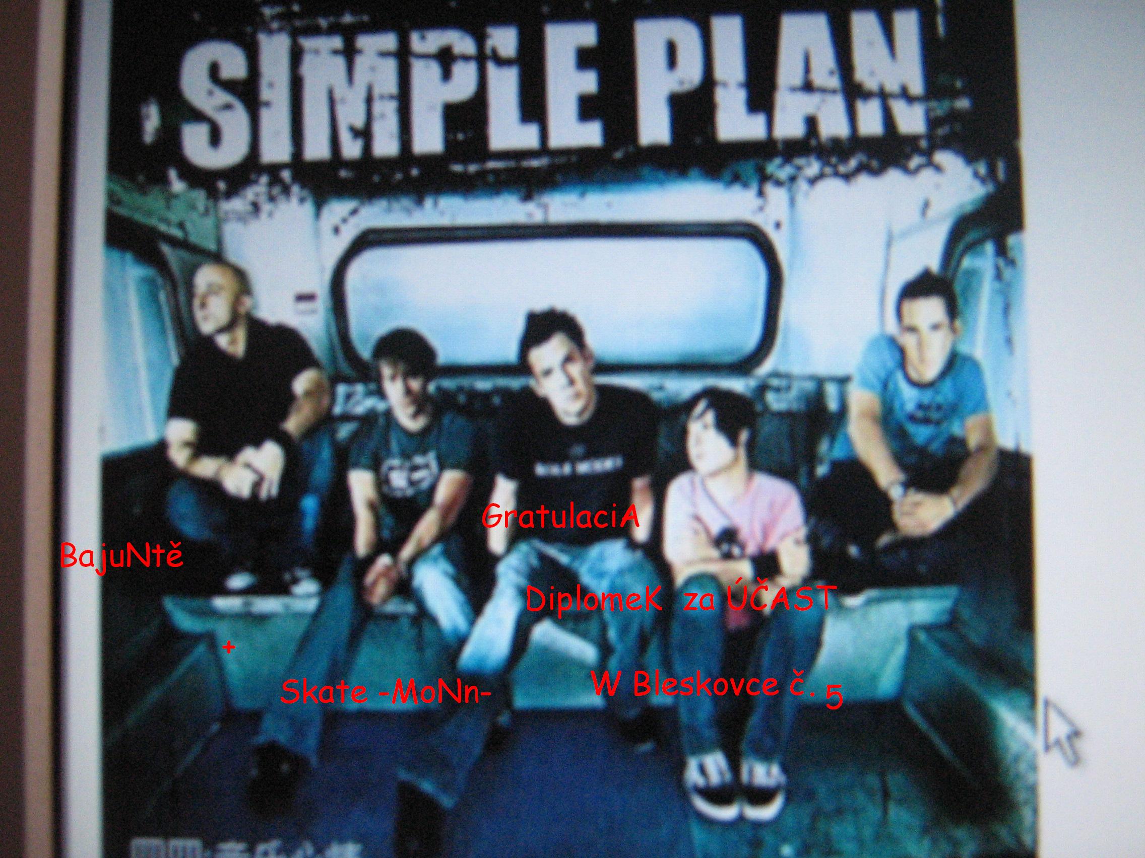 Simple Plan 1.JPG